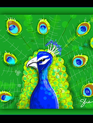 Peacock